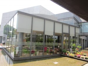 水の中にあるカフェ